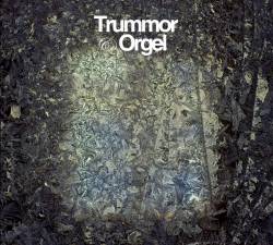 Trummor And Orgel : Visions